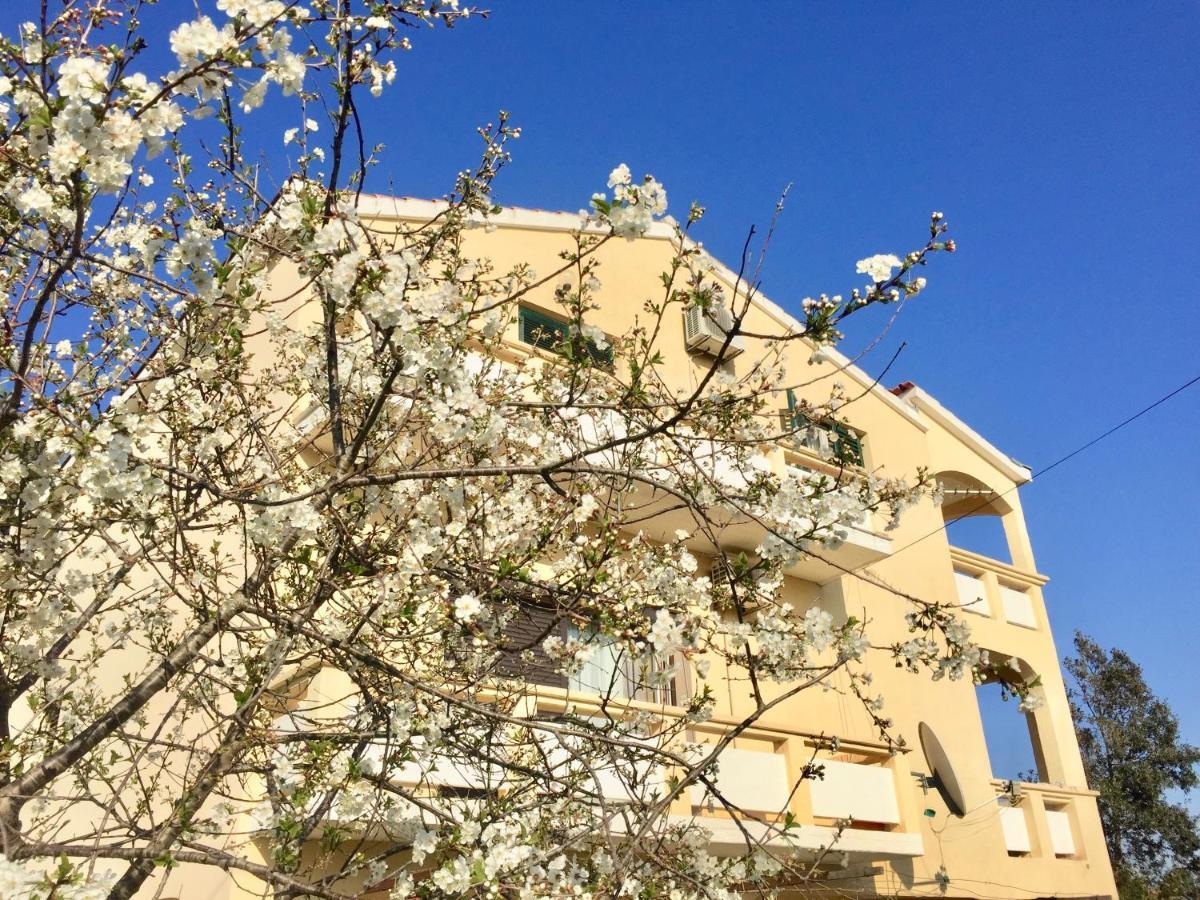 Hotel Sobe Bosiljka Nin Zewnętrze zdjęcie